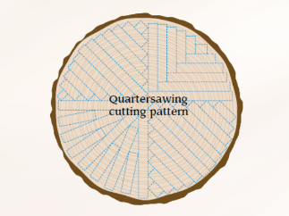 <p>Quartersawing</p>