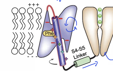 <p>what does this show</p>