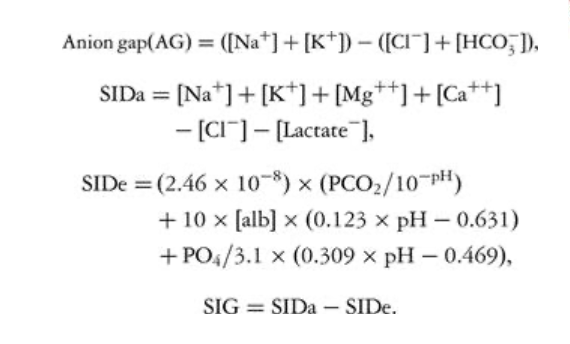 <p>anion gap</p><p>strong ion difference</p><p>fencl equations</p>