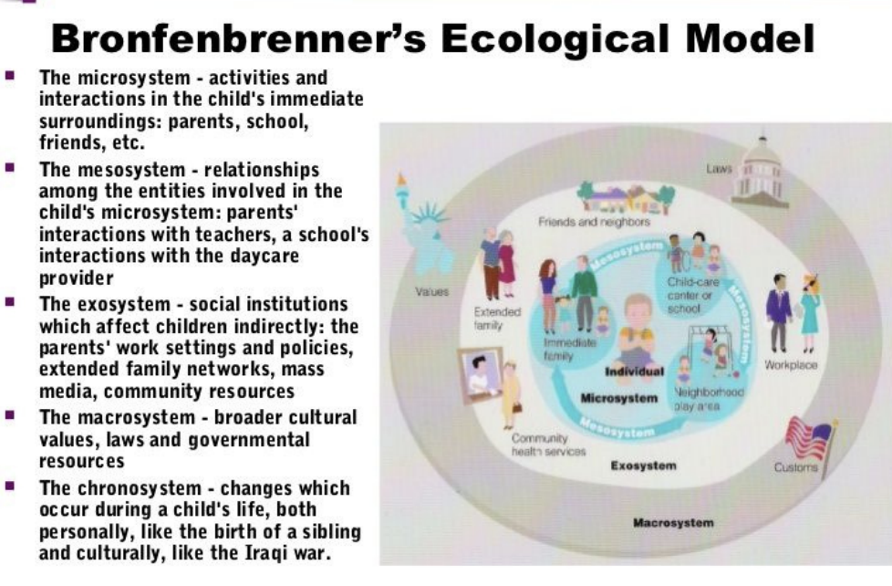 <p>The microsystem:</p><ul><li><p>immediate surroundings</p></li><li><p>parents, school friends, family The Mesosystem:</p></li><li><p>relationships among the microsystem</p></li><li><p>teachers + parents, friends and teachers Exosystem:</p></li><li><p>social institutions indirectly affecting child</p></li><li><p>parents work, family network, community resources Macrosystem:</p></li><li><p>broader cultural values, laws, governmental resources Chronosystem:</p></li><li><p>changes in a child&apos;s life</p></li><li><p>birth of sibling, death of family member, war</p></li></ul>