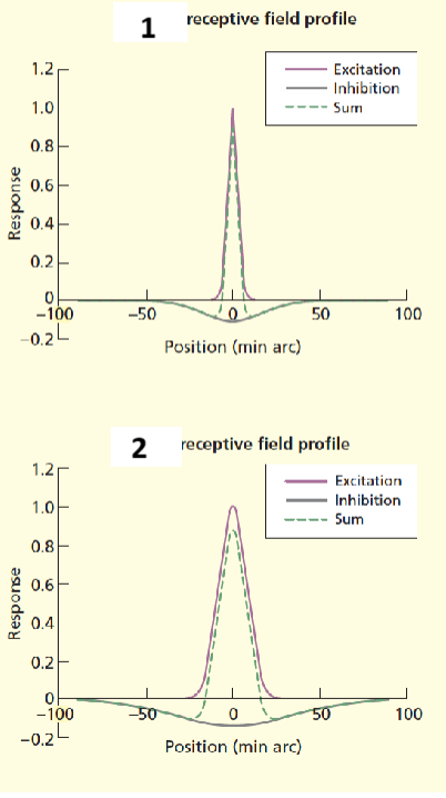 <p>1 and 2</p>
