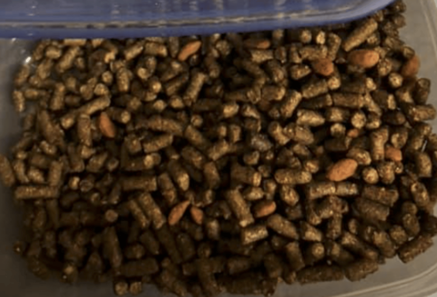 <p>- complete feed</p>