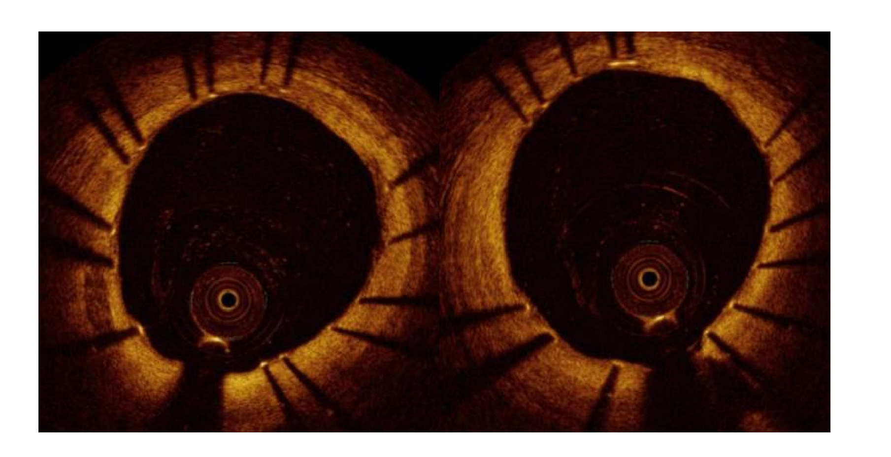 <p>what is this </p>