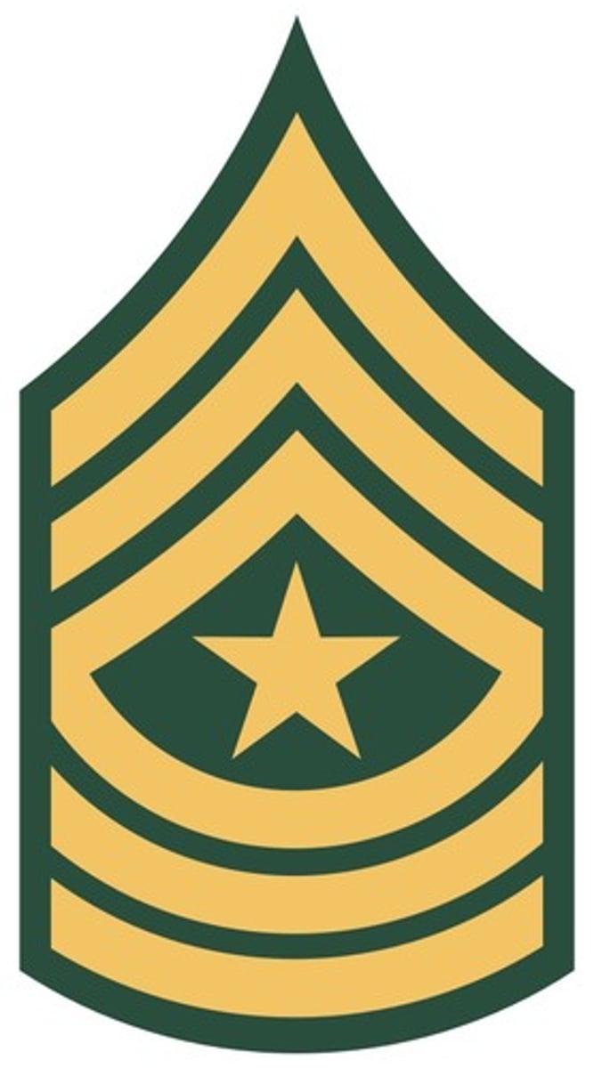<p>Sergeant Major or Command Sergeant Major</p>