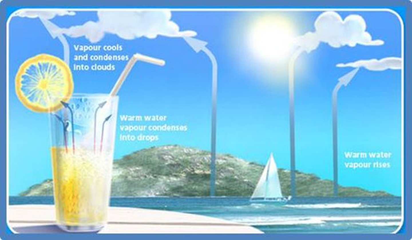 <p>water vapor cools and becomes a liquid</p>