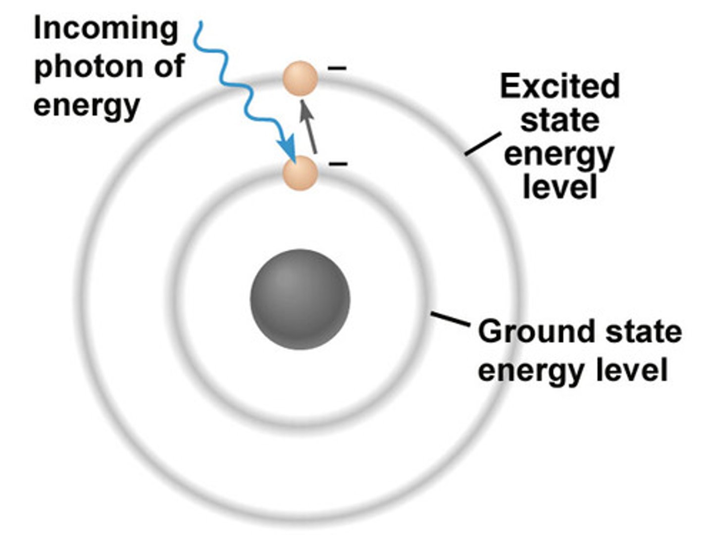 <p>(B) Excited, ground<br><br>An atom in the excited state will emit a photon to release energy and return to the ground state.</p>