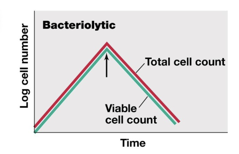 <p>Bacteriolytic</p>