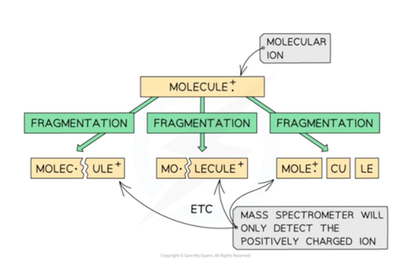 <p>The highest-mass ion in a spectrum is normally considered to be the molecular ion. This can fragment to form new ions, molecules, and radicals</p>