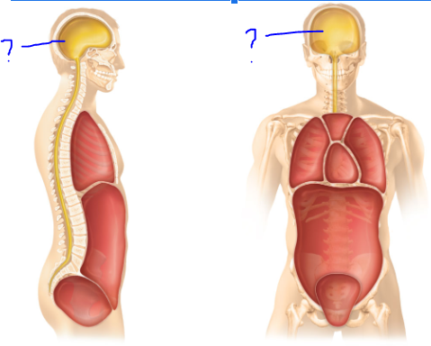 <p>(?)</p>