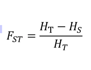 genetic drift causes FST to increase, selection (e.g. because of different environments) increases FST, gene flow decreases FST