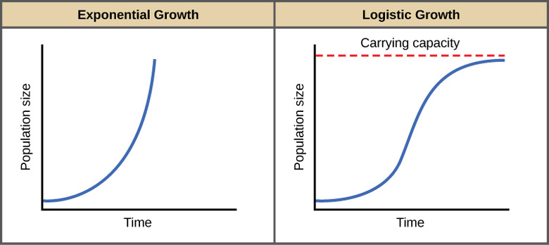 exponential growth vs logistic growth