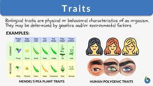 <p><span>(Characteristics) are heritable = inherited/passed down from parents to offspring.</span></p>