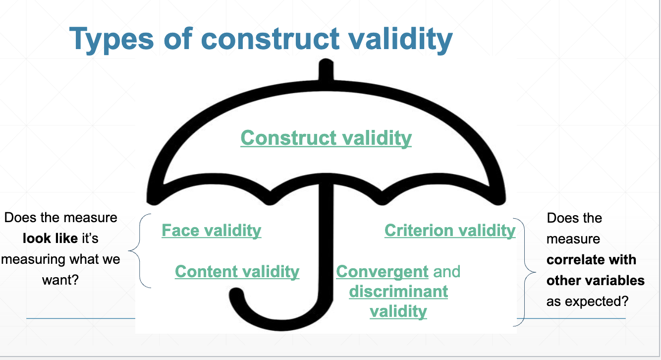 <p>face validity and content validity</p>