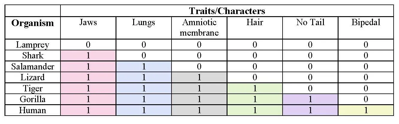 Cladogram Table