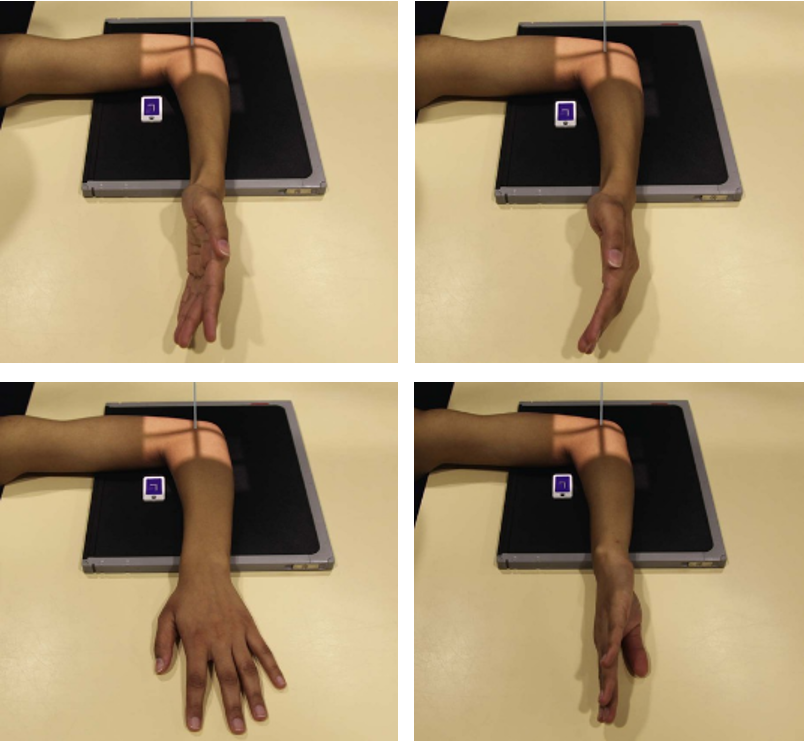term image