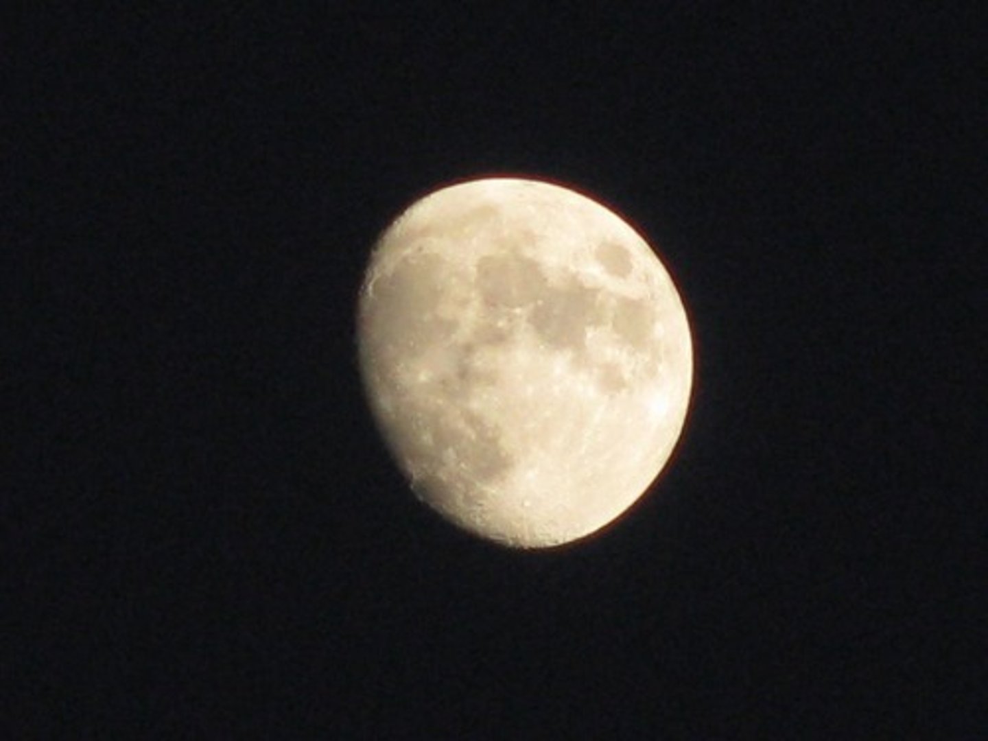 <p>Good evening; Good night</p>