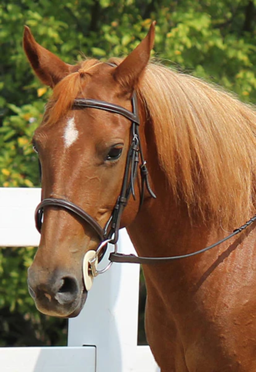 <p>what would you consider this marking</p>