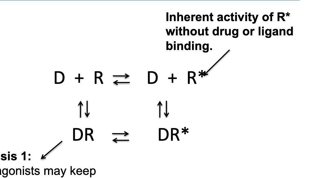 <ul><li><p>hypothesis 1 = inverse agonist may keep receptor in bound, <u>inactive</u> complex that prevents baseline R* activity</p></li><li><p>R* = inherent activity of R* WITHOUT drug or ligand binding</p></li></ul><p></p>