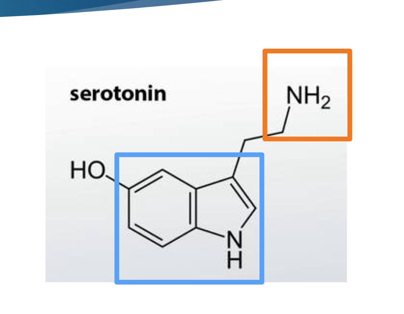 <p>indolamine (core structure is indole with amine sidechain)</p>