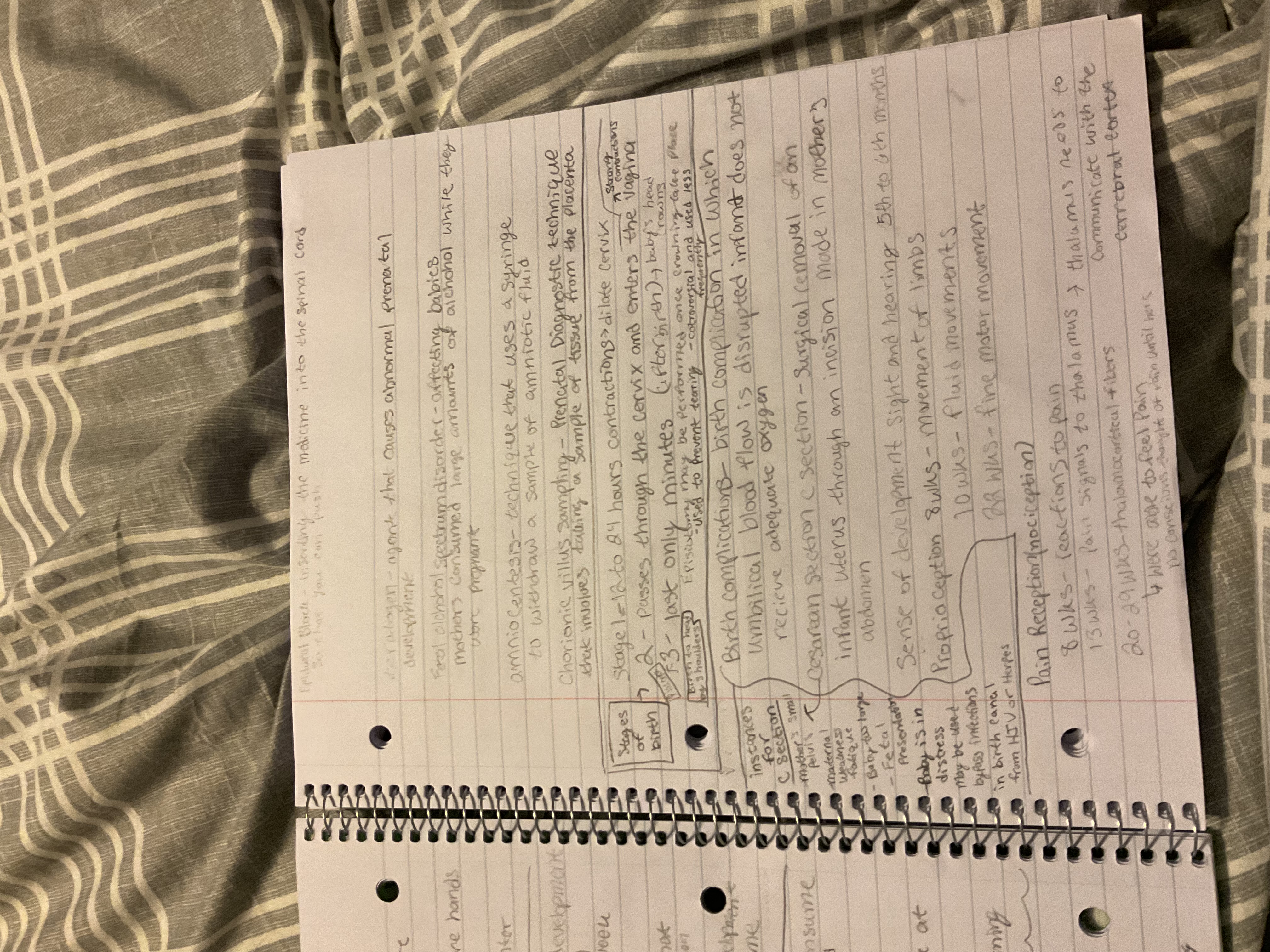 knowt flashcard image