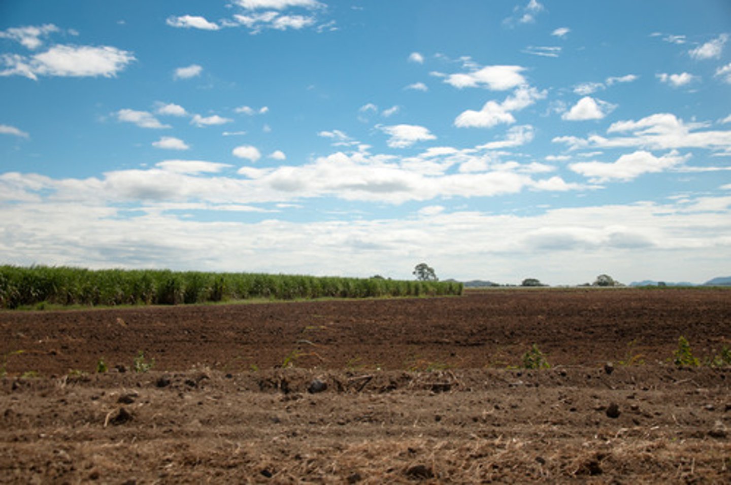 <p>(n) vùng đất</p>