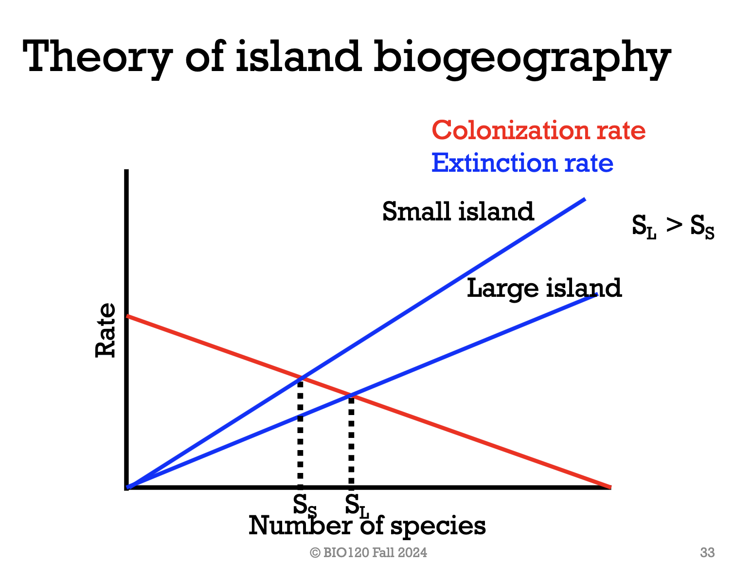 <p>The smaller the island the greater the extinction rate because smaller islands have fewer resources than larger islands. Also, the number of species present at equilibrium is lower. </p>