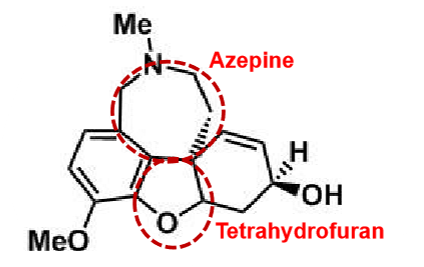 <ul><li><p>pharmacophores: azepine and tetrahydrofuran → enhance binding affinity&nbsp;</p></li><li><p>diasteromer (3 centers)&nbsp;</p></li><li><p>potent and reversible (less potent than donepezil)&nbsp;</p></li><li><p>alkaloid derived from plants&nbsp;</p></li></ul><p></p>
