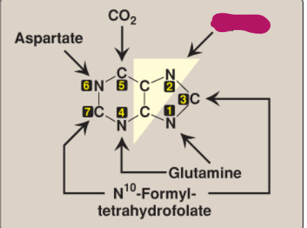 <p>What compound contributes these atoms to a purine ring?</p>