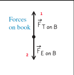 <p>A book rests on a table.  The book is our system.  The force diagram for the book is shown below.  In this force diagram, identify the Newton’s 3rd Law pair force to Ft on B</p>