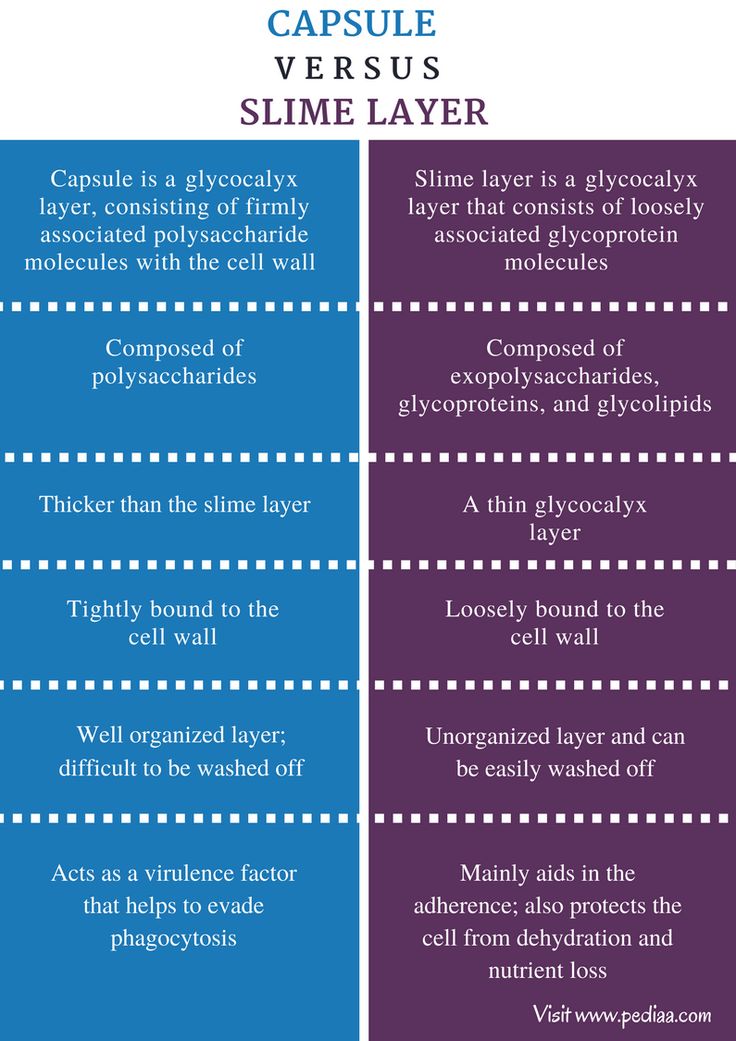 <p>slime layer</p><p>It is a form of a thin glycocalyx layer</p>
