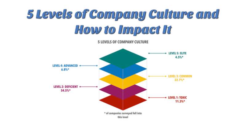 <p>The type of management or leadership style used.</p>