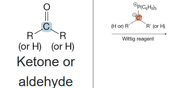 <p>What is the product of the reaction between a ketone or aldehyde and Wittig reagent?</p>