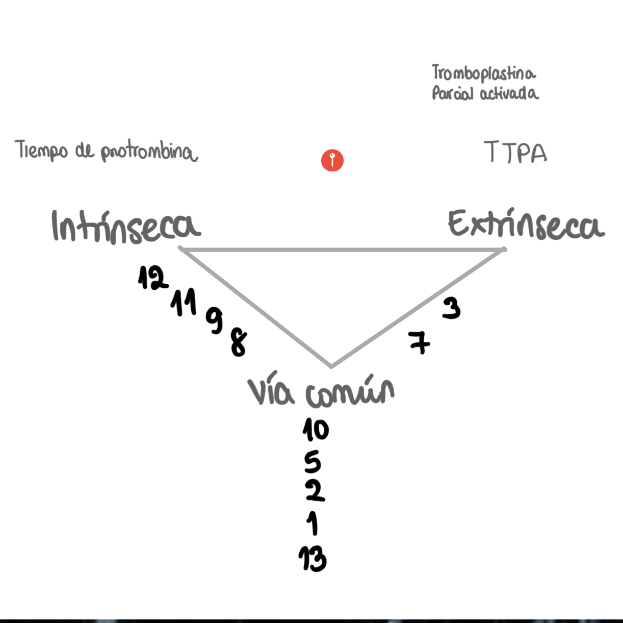 <p></p>