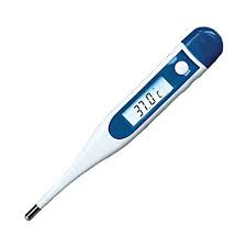 <p>Ein Gerät zur Messung der Körpertemperatur. </p>