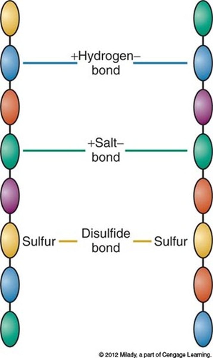 <p>Covalent bond formed between the sulfur atoms of two cysteines in a protein; part of tertiary/quaternary protein structure</p>