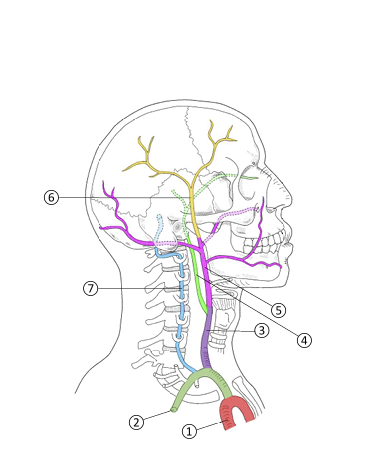 <p>1</p>