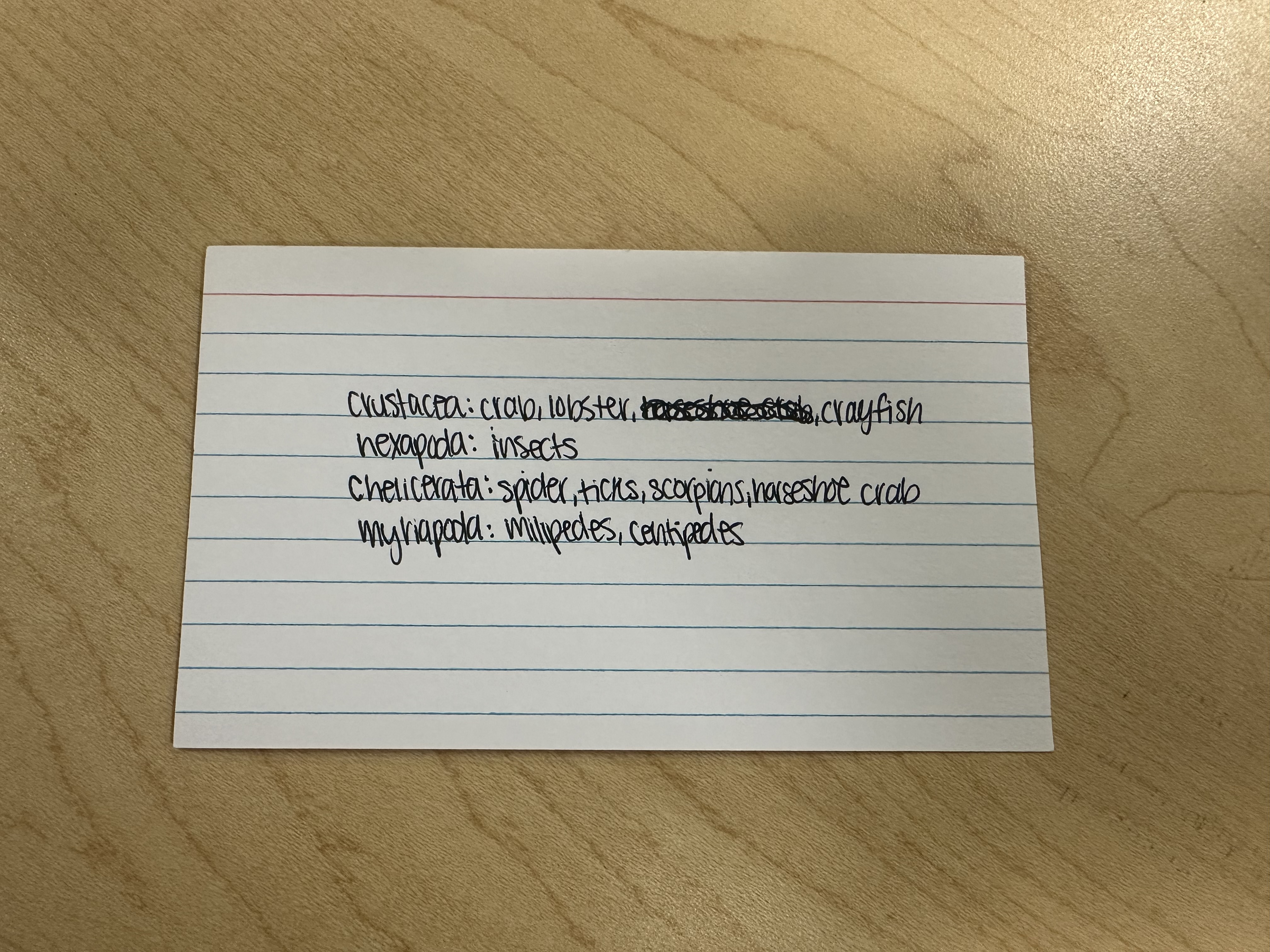 knowt flashcard image