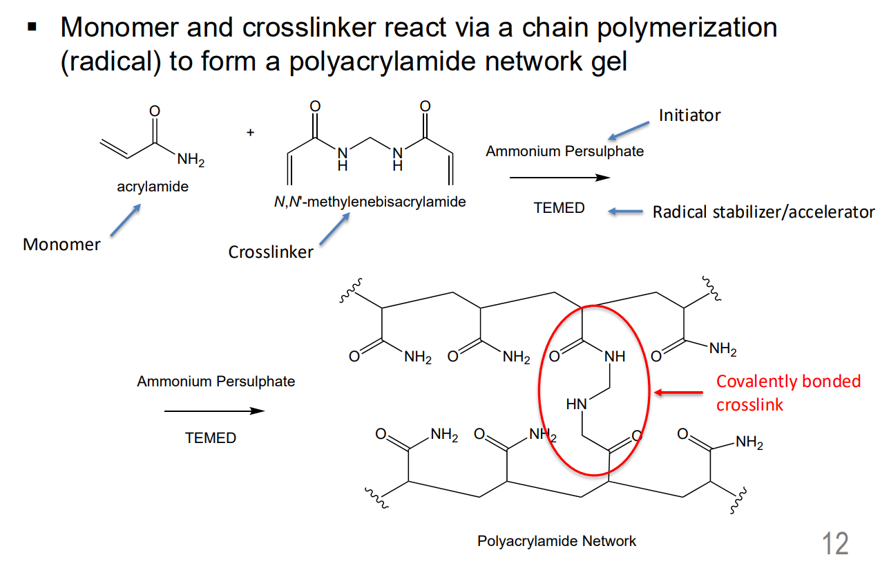 <p>Vulcanisation with sulfur using a polymer formed by chain growth </p><p>or</p><p>hydrogel - Polyacrylamide Network Gel</p><p></p><p></p>