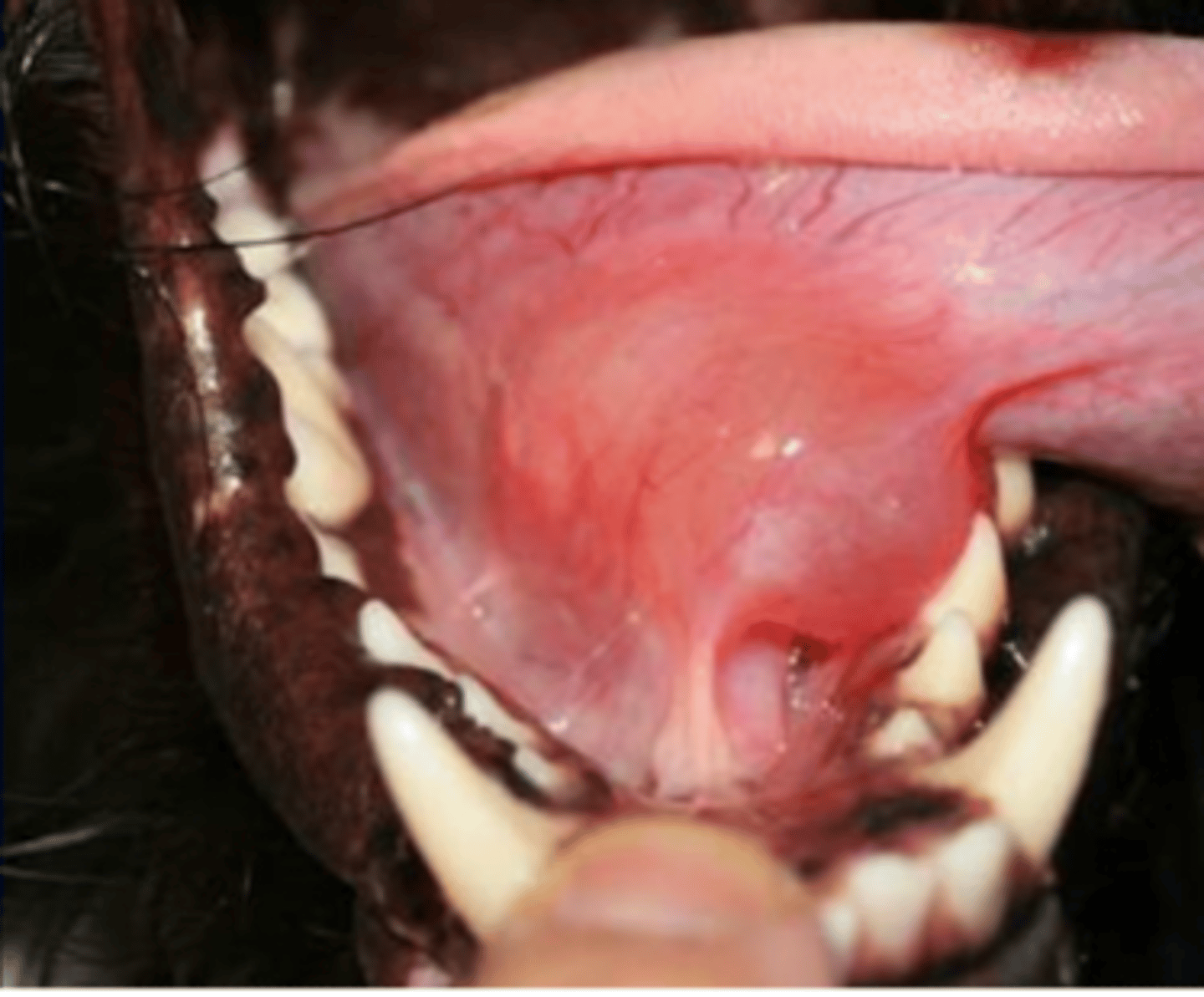 <p>what is this?</p>