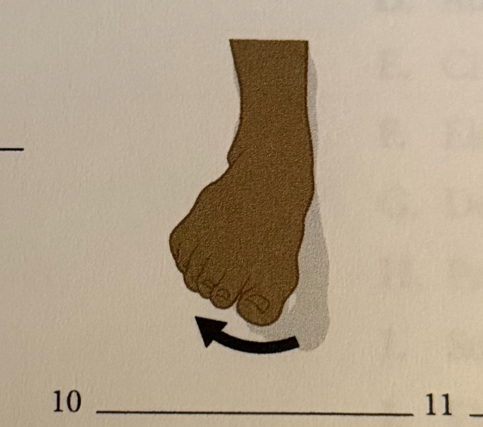 <p>turning the sole of the food inward </p>