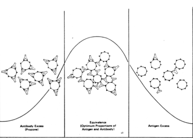 <p>Zone of equivalence </p>