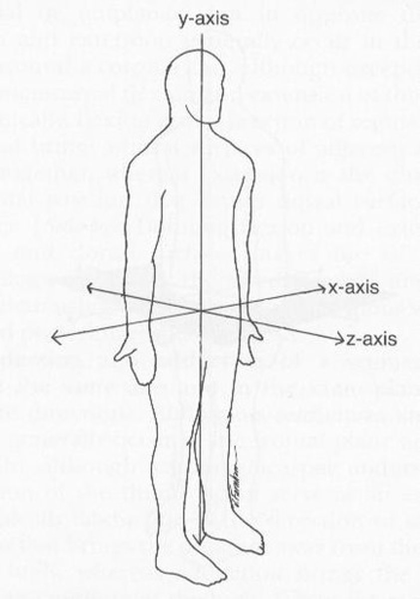 <p>Medial-lateral axis.</p>