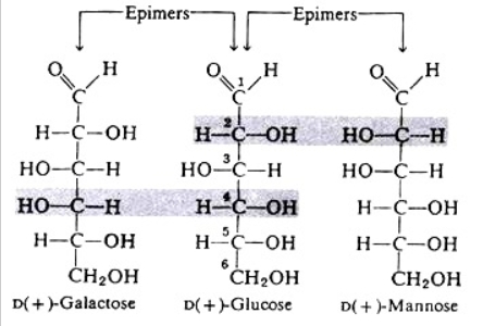 <p>C2 - mannose</p><p>C3 - allose</p><p>C4 - galactose</p>