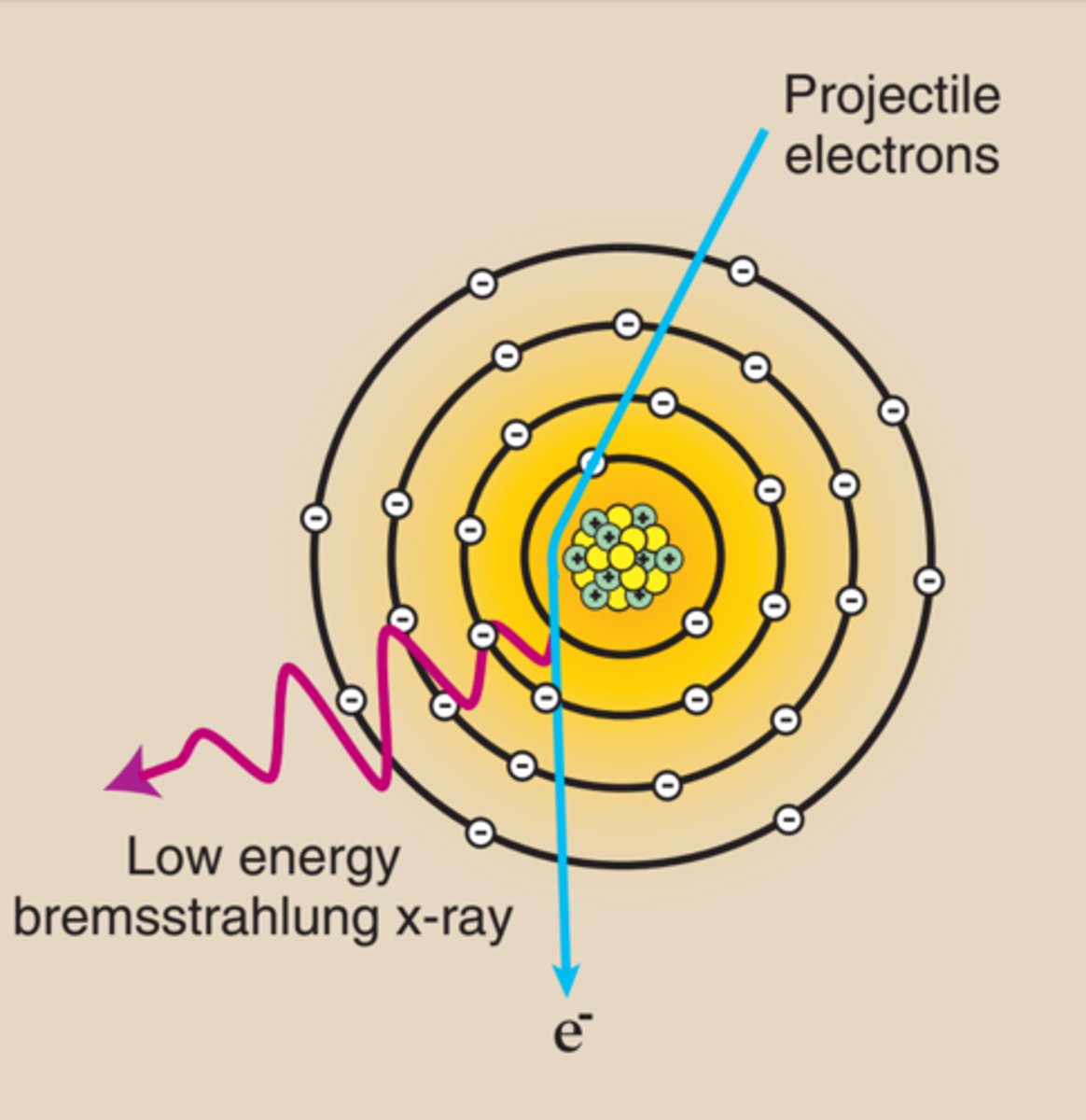 <p>Bremsstrahlung x-rays are produced when a projectile electron is slowed by the electric field of a target atom nucleus.</p>