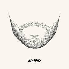 <p>He has<strong> a short stubble</strong> <span style="color: blue;">on </span>his face, giving him <span style="color: red;"><span>a rugged look.</span></span></p>