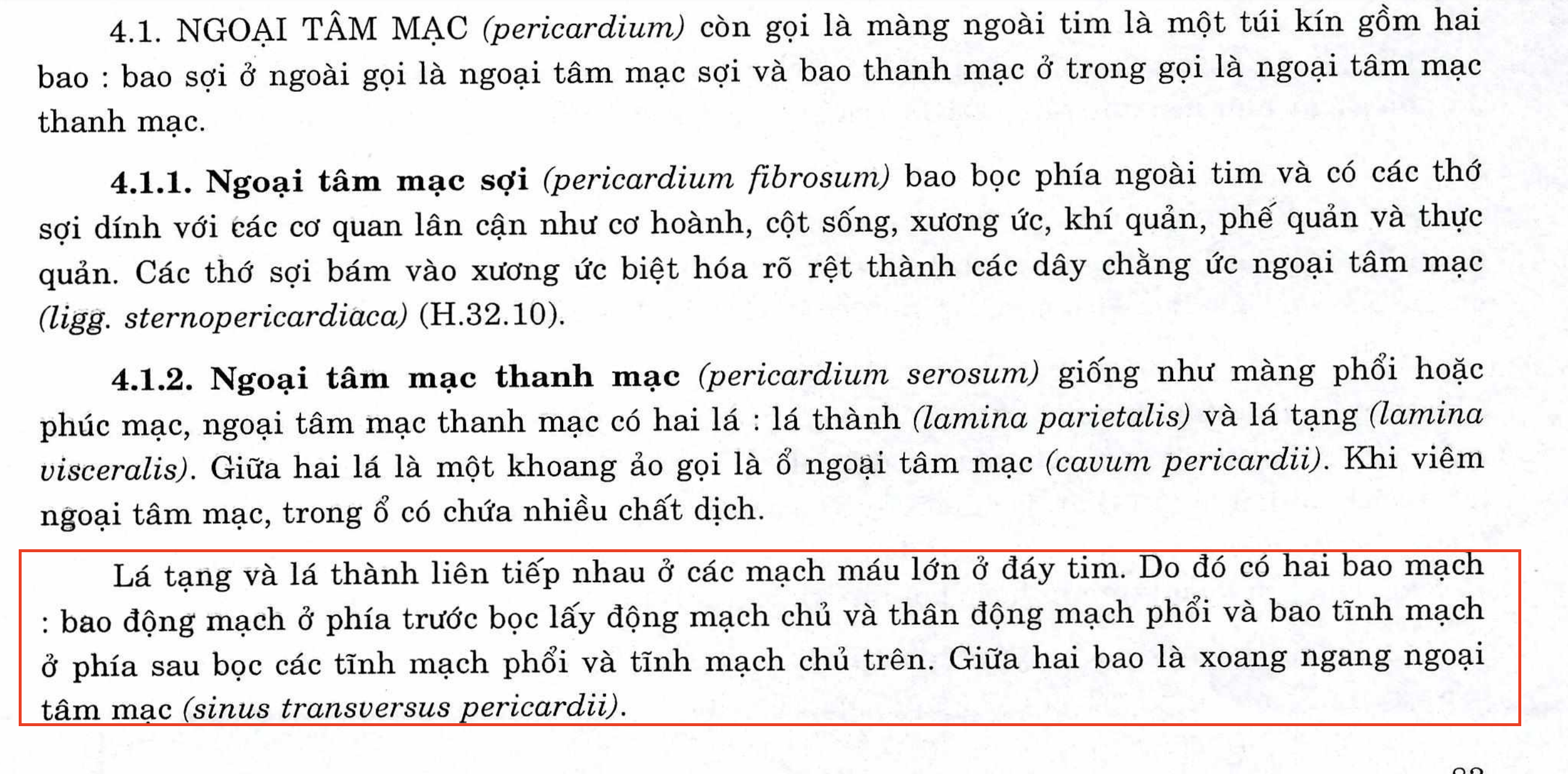 <p>A. Lá tạng ngoại tâm mạc thanh mạc + Lá thành ngoại tâm mạc thanh mạc</p><ul data-type="taskList"><li data-checked="true" data-type="taskItem"><label><input type="checkbox" checked="checked"><span></span></label><div><p><strong>Chi tiết số 5</strong>: ĐM phổi trái</p></div></li></ul><p>GP2, 83</p>