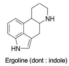 <p>Alcaloïdes de l’ergot</p><p></p><p>Noyau ergoline</p>