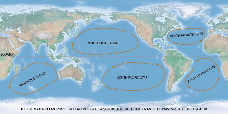 <p>Name the ocean currents found in the North Pacific Gyre</p>