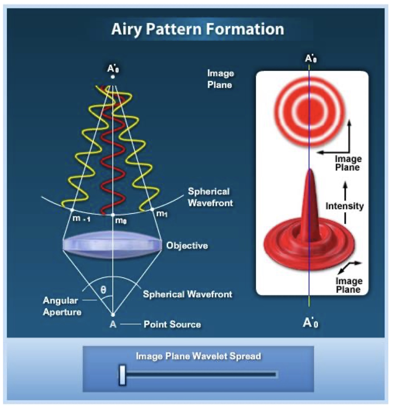 <p>when an image is formed in the focused image plane of an optical microscope, every point in the specimen is represented by an airy diffraction pattern having a finite spread.</p><p>intense central beam, zero order signal is the most intense, 1st order, 2nd order and then 3rd order.</p>