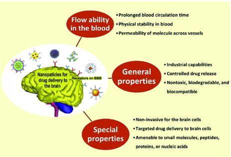 <ul><li><p>Nanoparticles is another approach for targeted CNS delivery this involve</p><ul><li><p>Adjusting the particle size (1-100nm) and drug - polymer ratio</p></li><li><p>Coating with surfactant, cell penetrating peptides or antibodies can enhance CNS penetration</p></li></ul></li></ul><p></p>